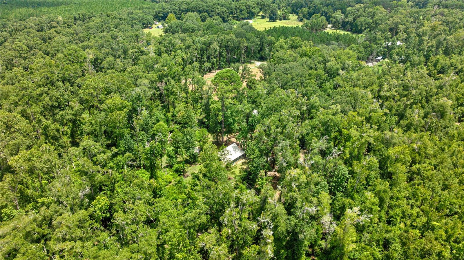 ICHETUCKNEE WILDERNESS - Residential