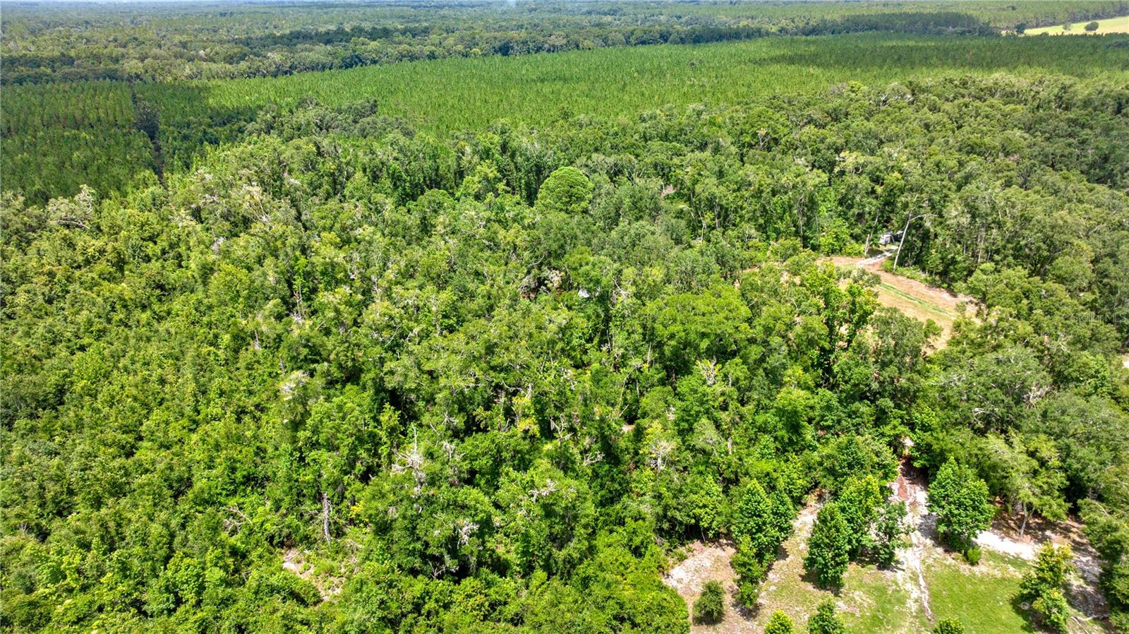 ICHETUCKNEE WILDERNESS - Residential