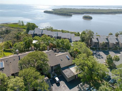 1111 N BAYSHORE BOULEVARD E3 CLEARWATER FL 33759