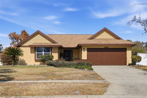 6815 MERGANSER DRIVE ORLANDO FL 32810