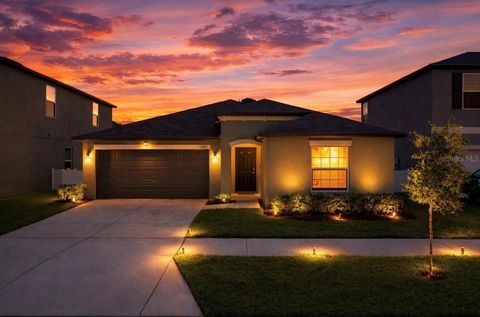 Search Sarasota & Manatee County Homes 101 12873 TRIPOLI AVENUE RIVERVIEW FL 33579