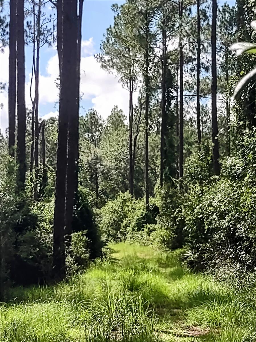 WINDING RIVER PRESERVE - Residential