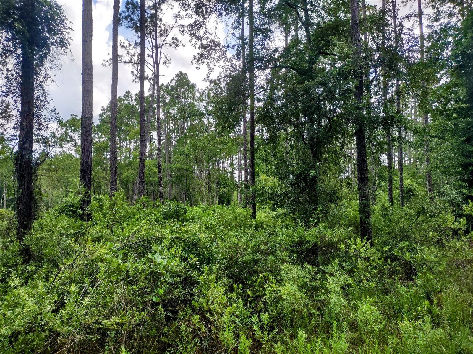 WINDING RIVER PRESERVE - Residential