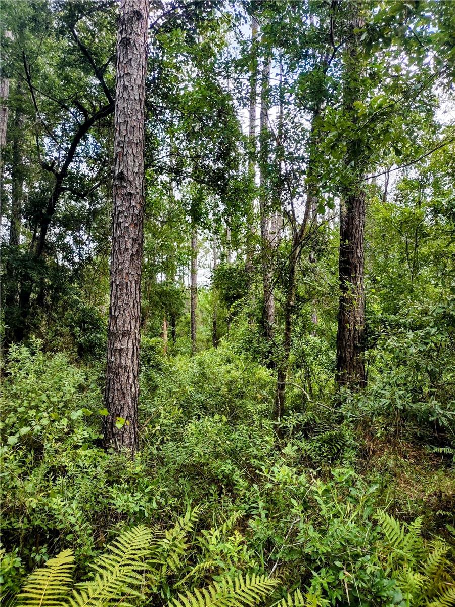 WINDING RIVER PRESERVE - Residential