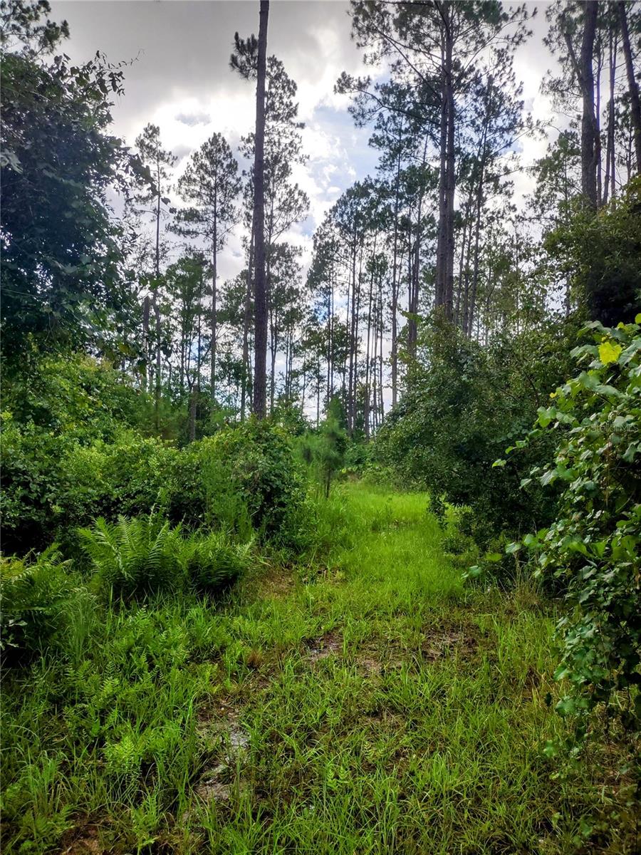 WINDING RIVER PRESERVE - Residential