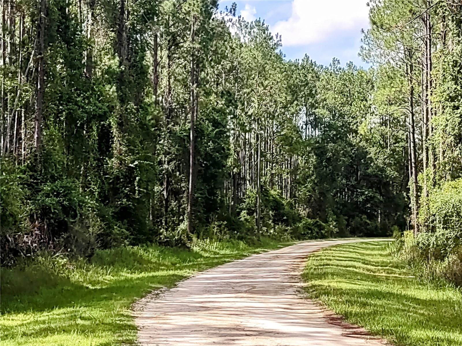 WINDING RIVER PRESERVE - Residential