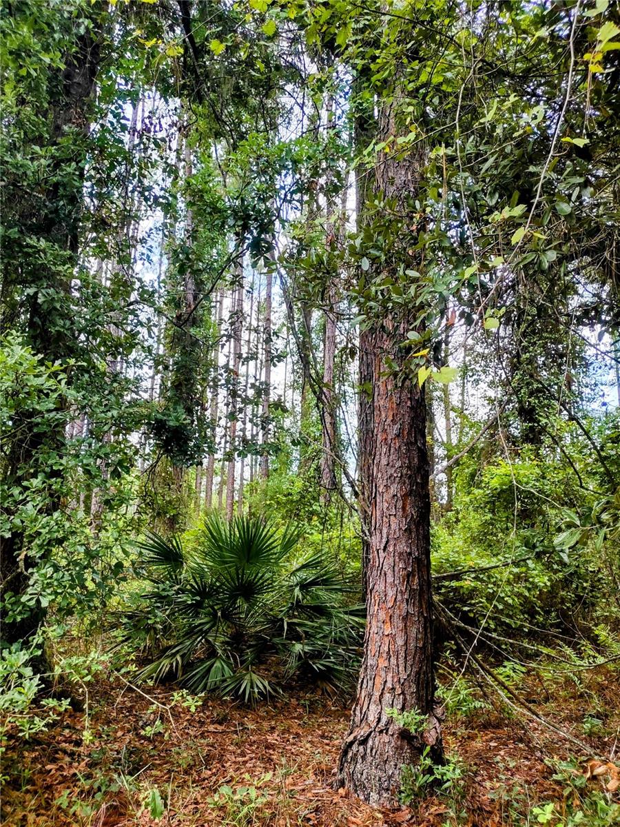 WINDING RIVER PRESERVE - Residential