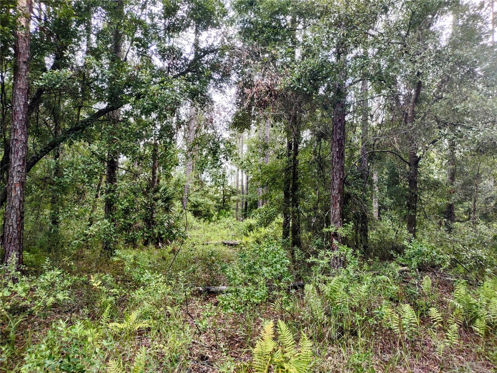 WINDING RIVER PRESERVE - Residential