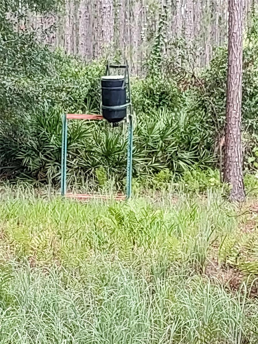 WINDING RIVER PRESERVE - Residential