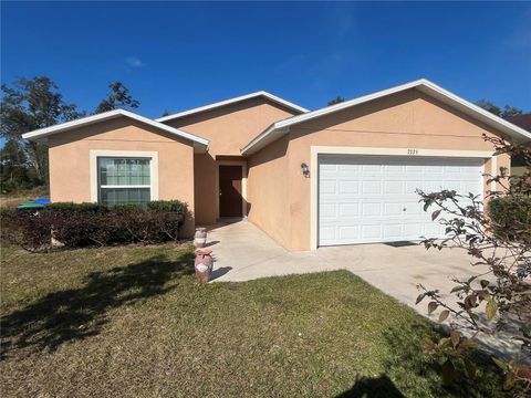 A home in MOUNT DORA