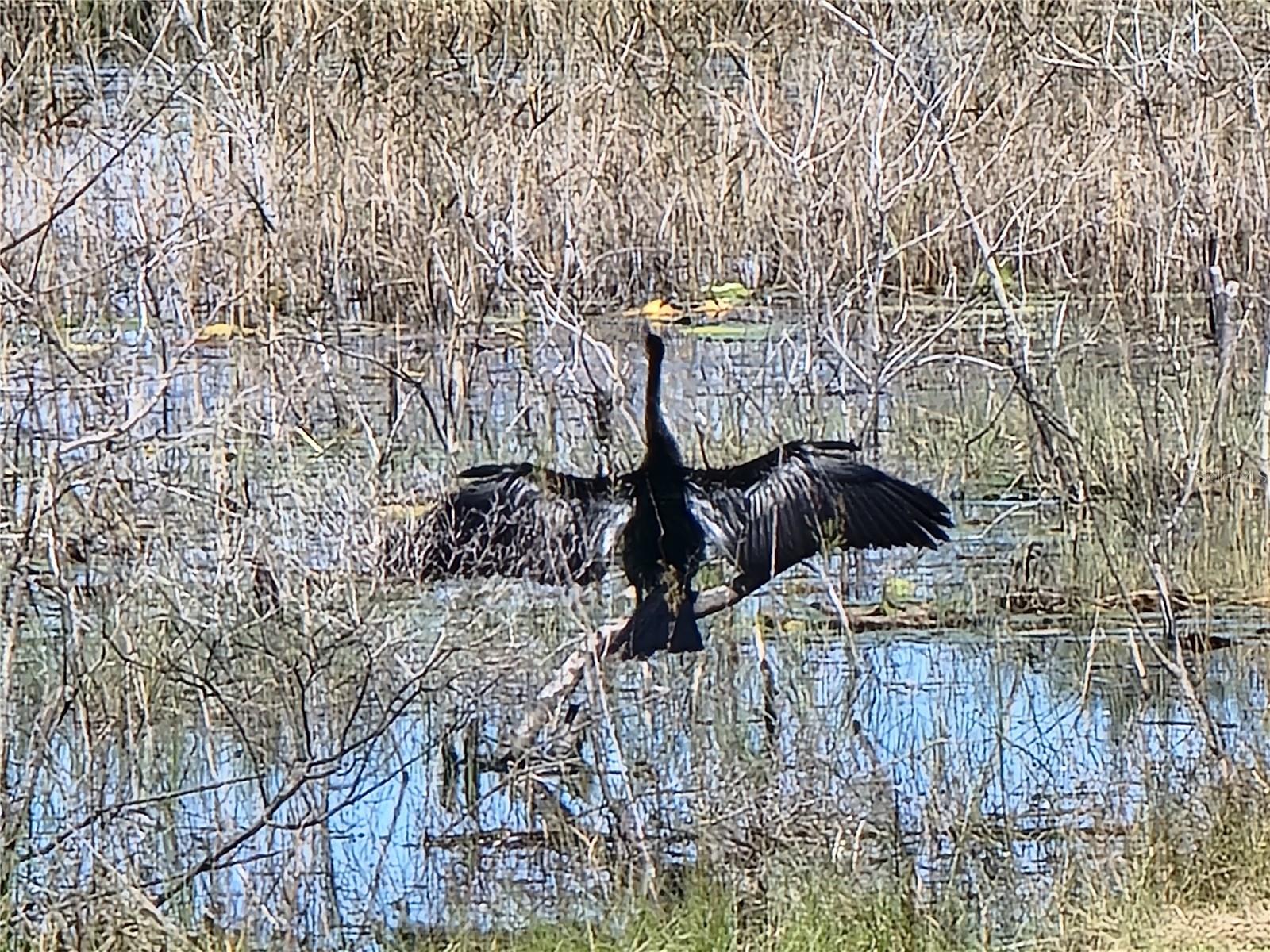 PLANTATION AT LEESBURG - Residential