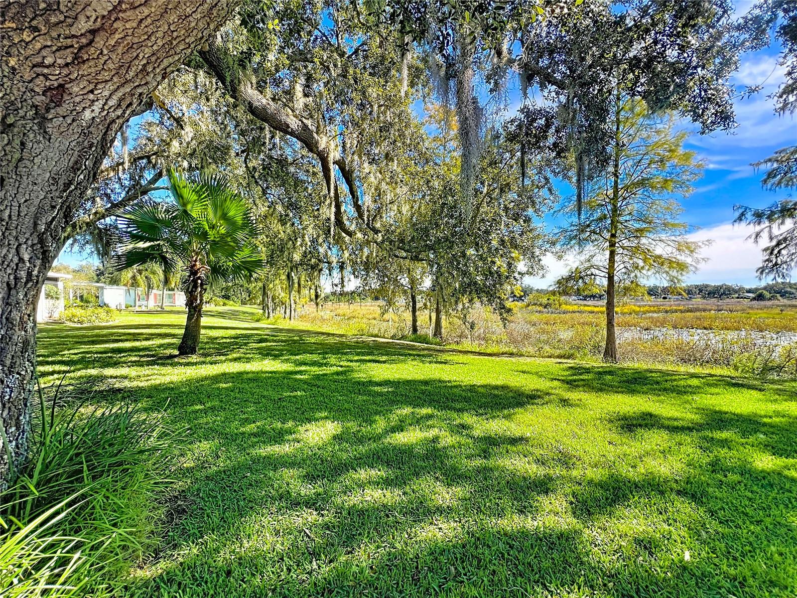 PLANTATION AT LEESBURG - Residential