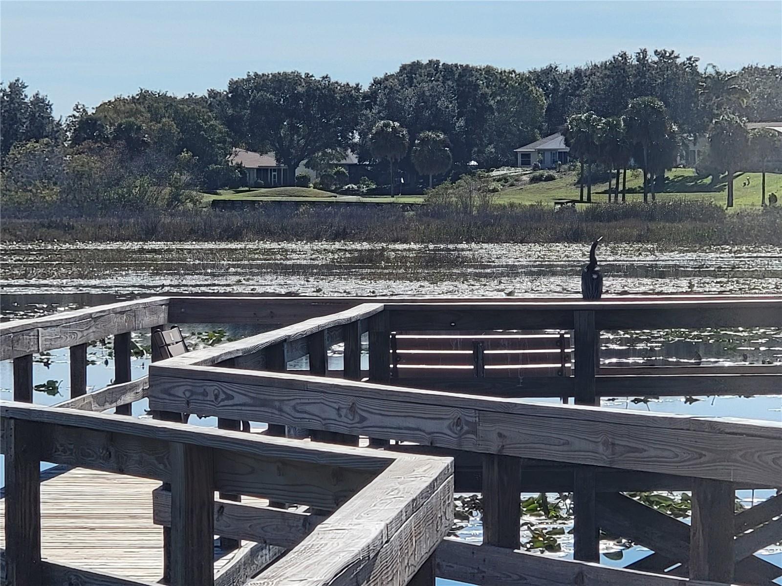 PLANTATION AT LEESBURG - Residential