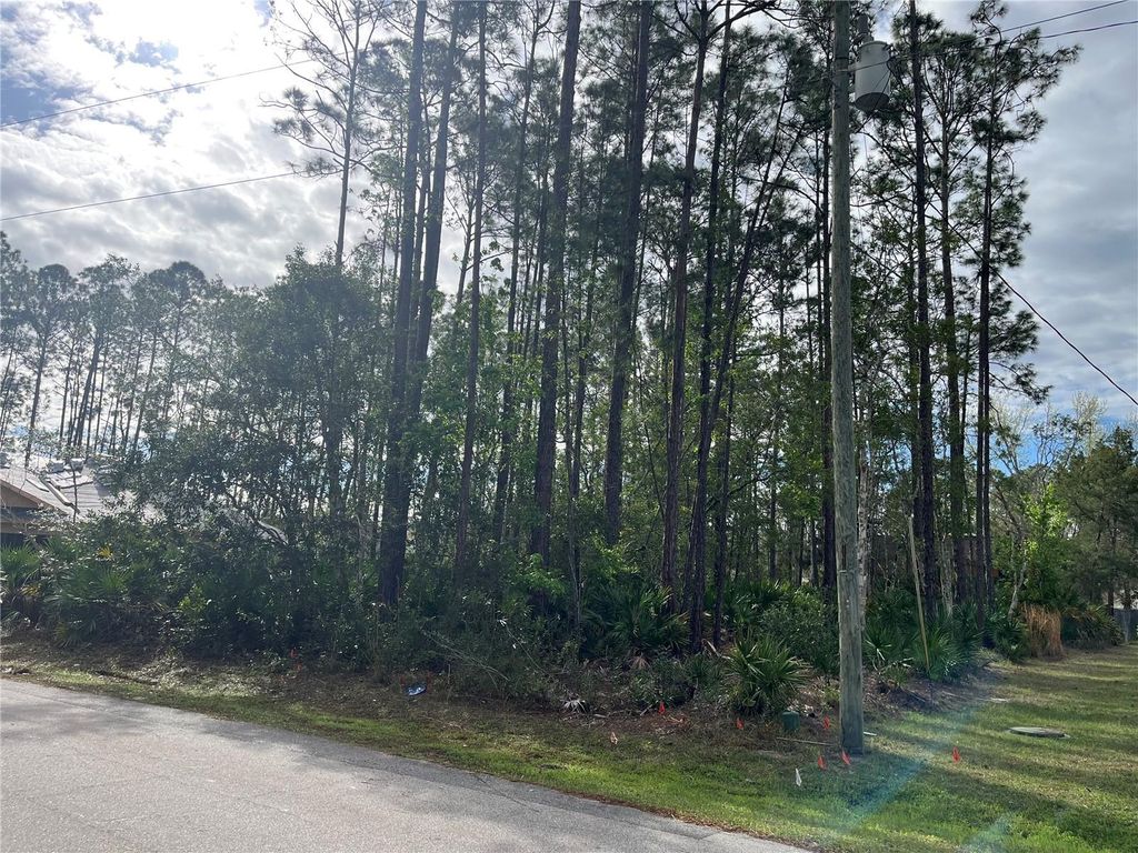 Photo of 14 Reybury Lane, Palm Coast, FL 32164 (MLS # FC316918)