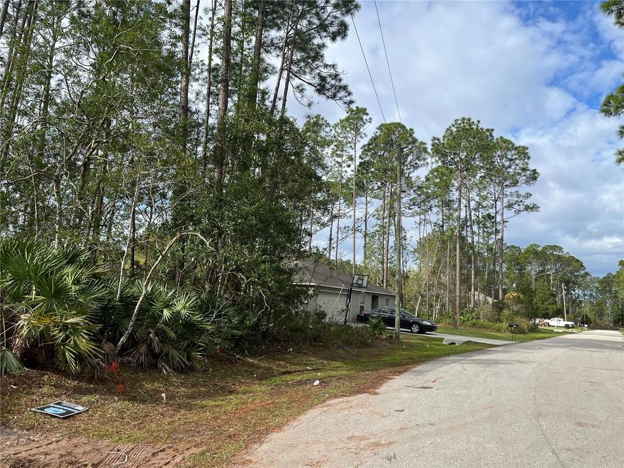 Vacant Lot located in Lehigh Woods.  Centrally located in Flagler with easy access to all stores, medical facilities, schools and banks.  Close to Route 1 with about a 30 minute drive to ST. Augustine, Daytona Beach, Ormond Beach and a short drive to Flagler Beach. Short walk or bike ride to trails.