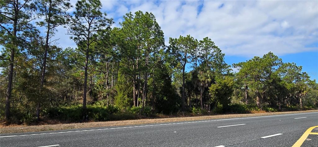 Photo of 18193 Commercial Way, Weeki Wachee, FL 34614 (MLS # W7881840)