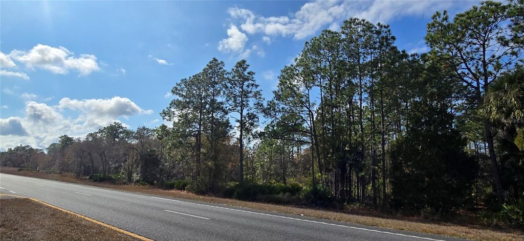 Photo of 18193 Commercial Way, Weeki Wachee, FL 34614 (MLS # W7881840)