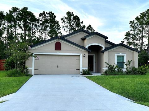 A home in PALM COAST