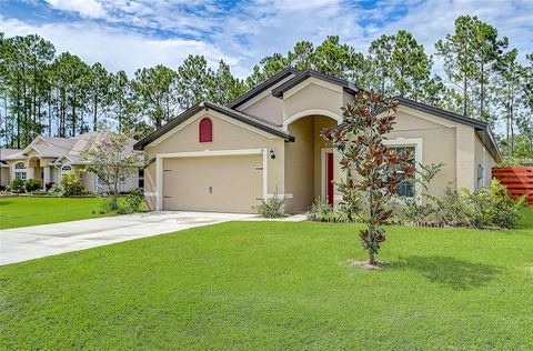 A home in PALM COAST