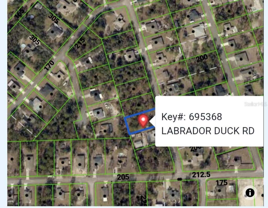 Photo of 11335 Labrador Duck Road, Weeki Wachee, FL 34614 (MLS # TB8524133)