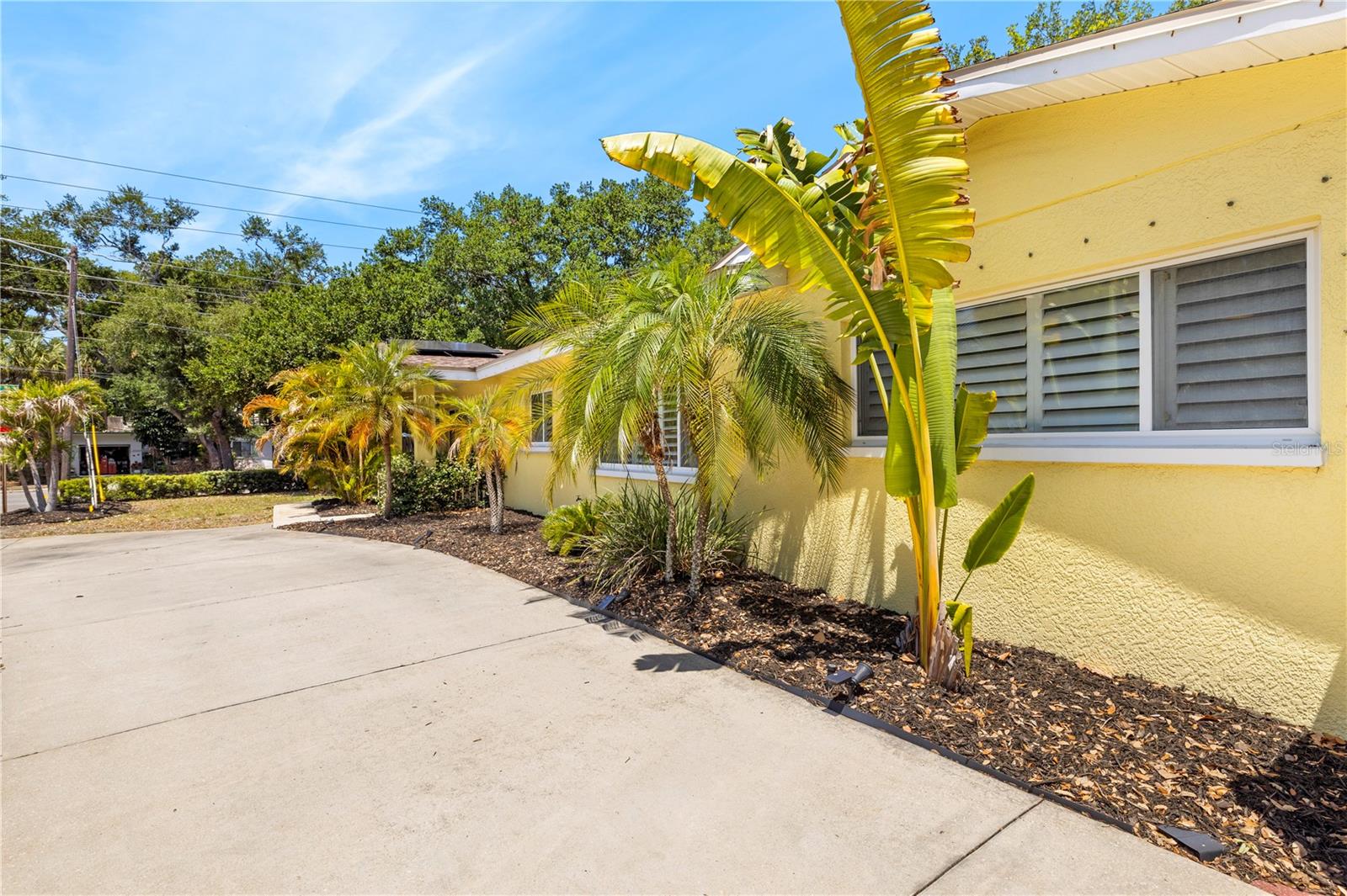 JUNGLE TERRACE SEC A - Residential