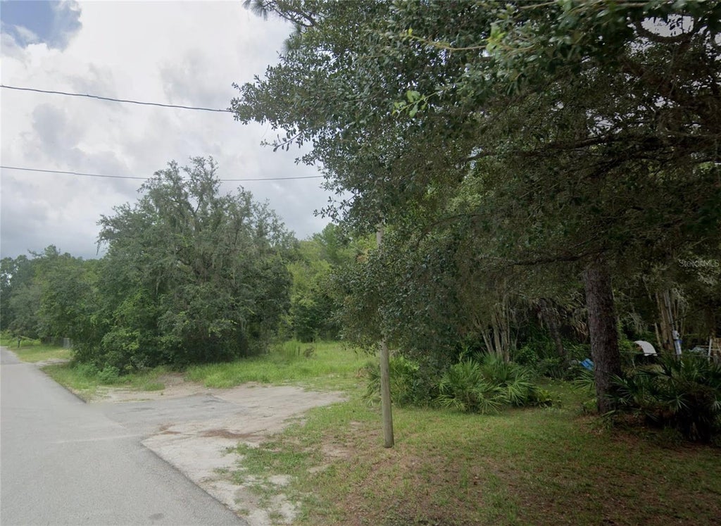 Photo of 10122 Shalimar Street, New Port Richey, FL 34654 (MLS # A4710192)