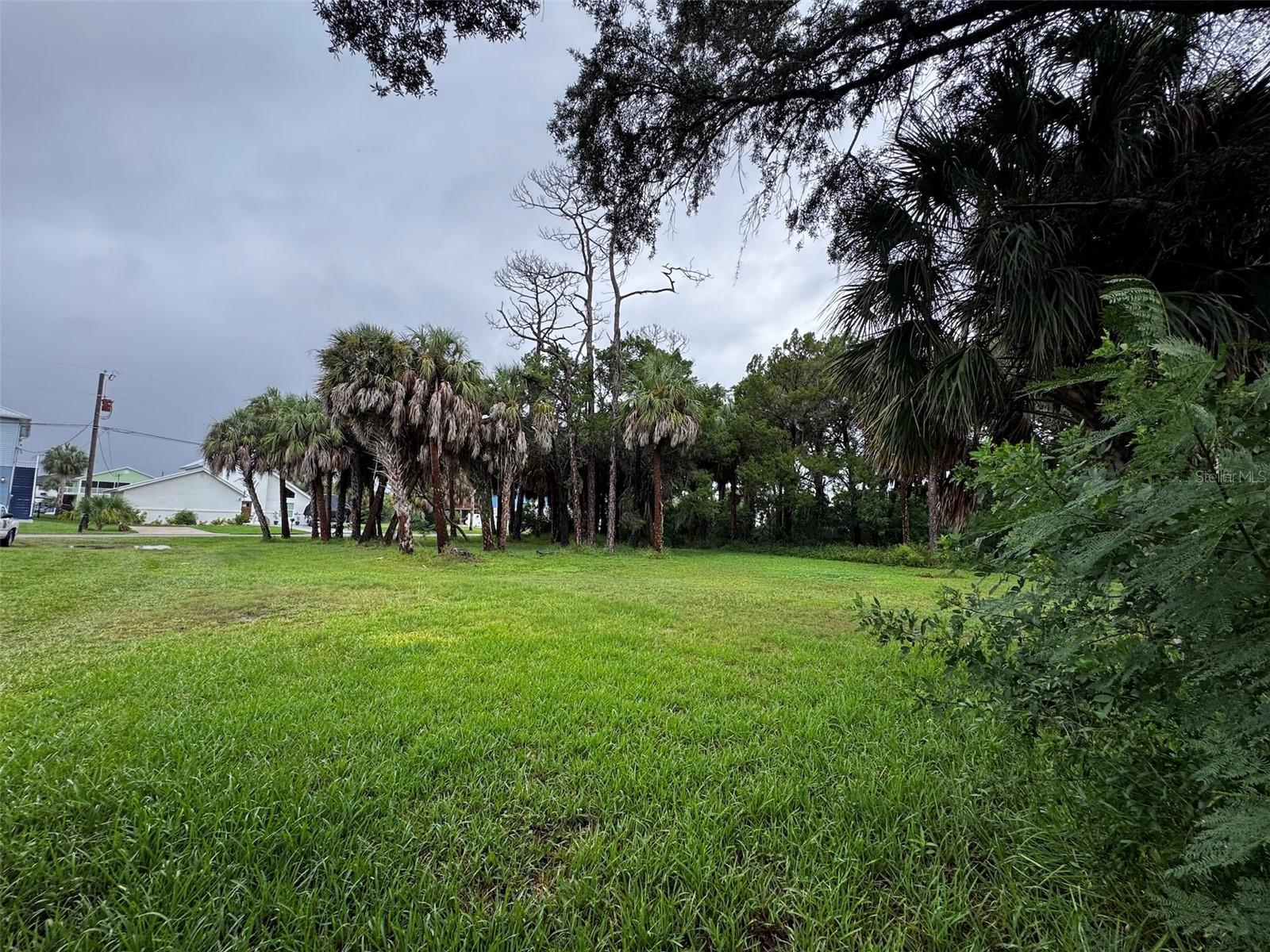 PINEDALE COURT