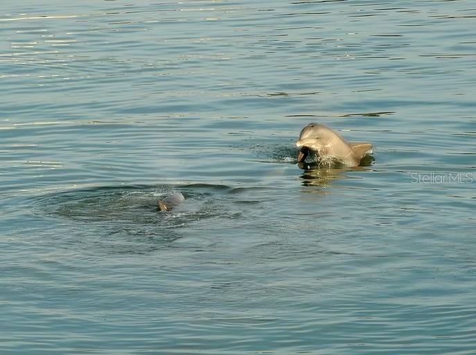 TOWN SHORES OF GULFPORT - Residential