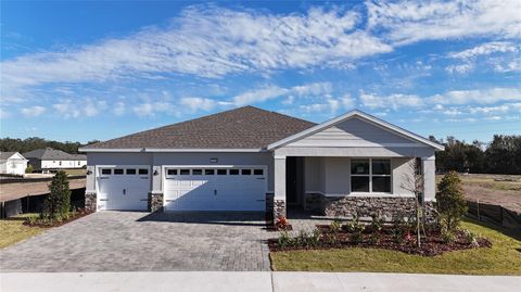 Photo of 8599 Bridgeport Bay Circle, Mount Dora, FL 32757 (MLS # O6372639)