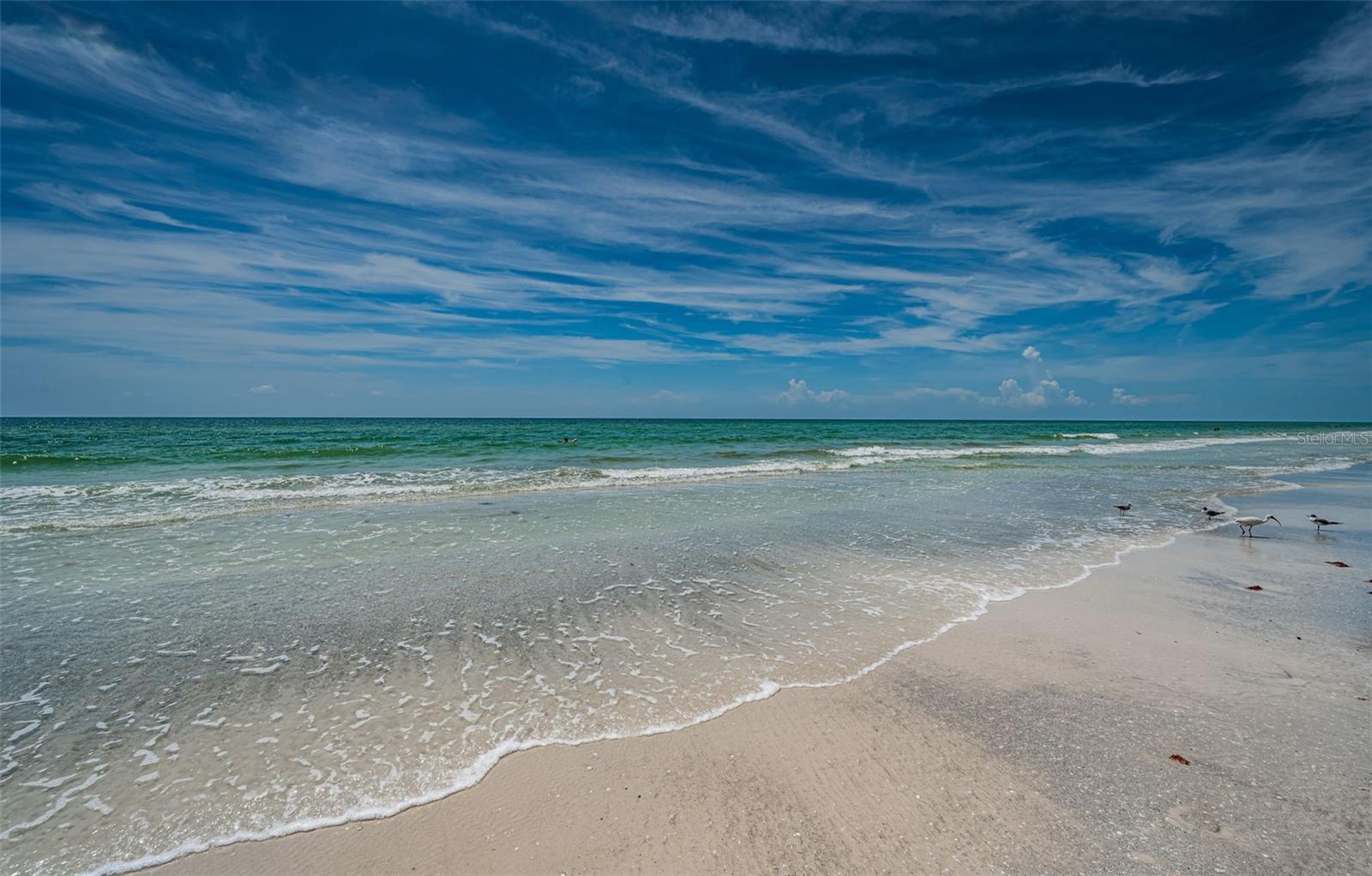 ONELLA CONDO - Residential