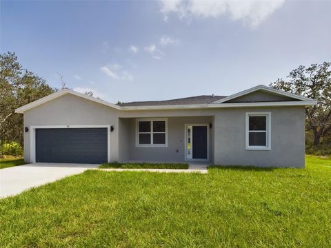 A home in OCKLAWAHA