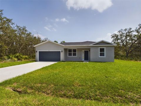 A home in OCKLAWAHA