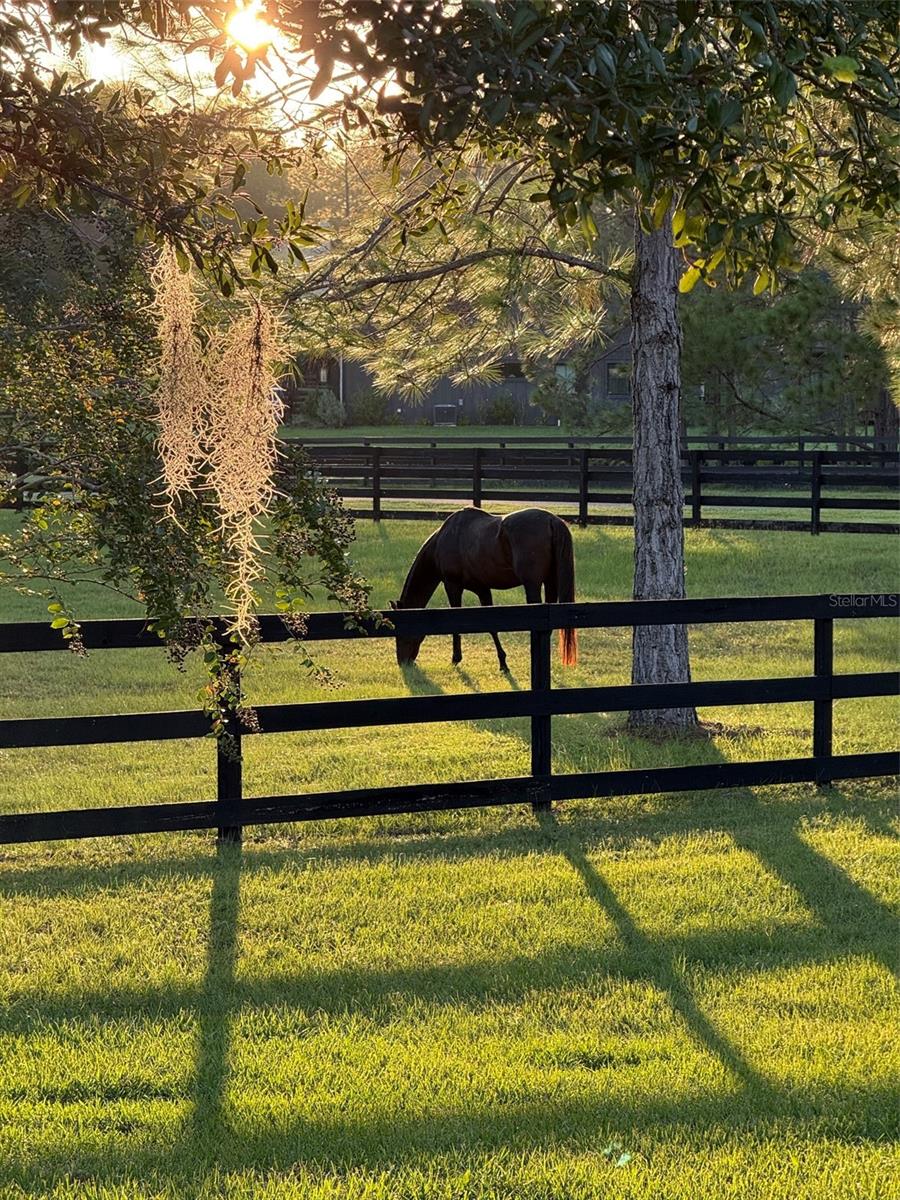 LAKEWOOD RANCHES SUB - Residential
