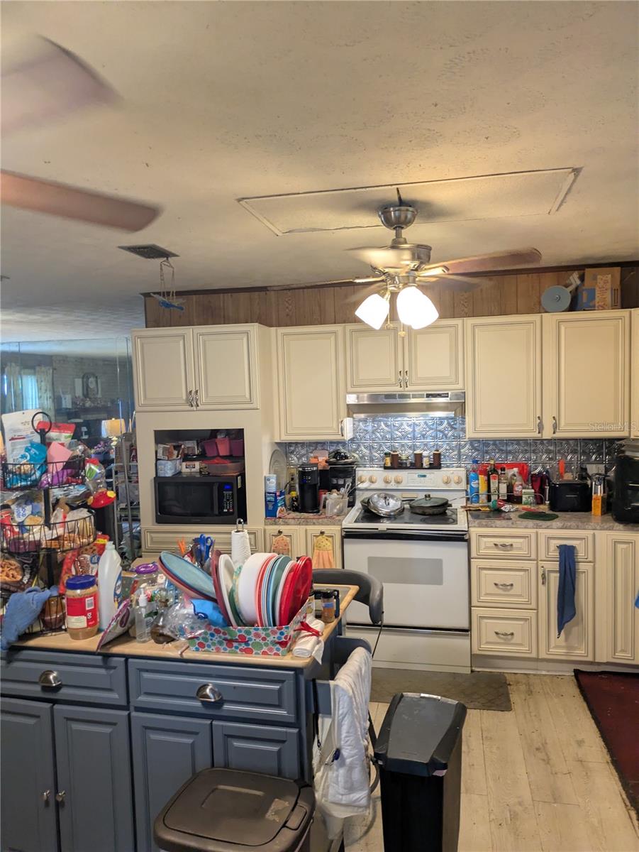 LAKE LOCHLOOSA SHORES - Residential