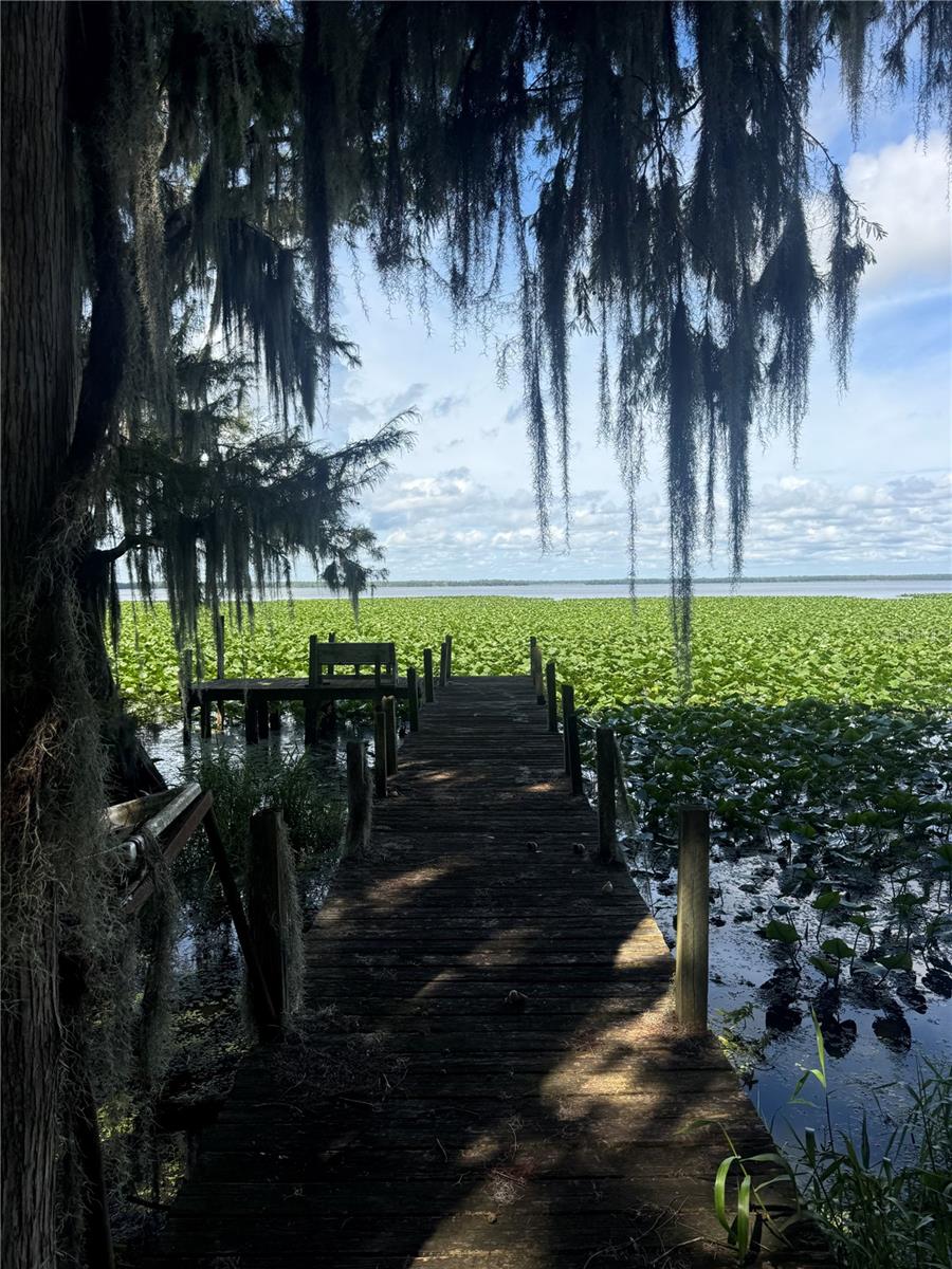 LAKE LOCHLOOSA SHORES - Residential