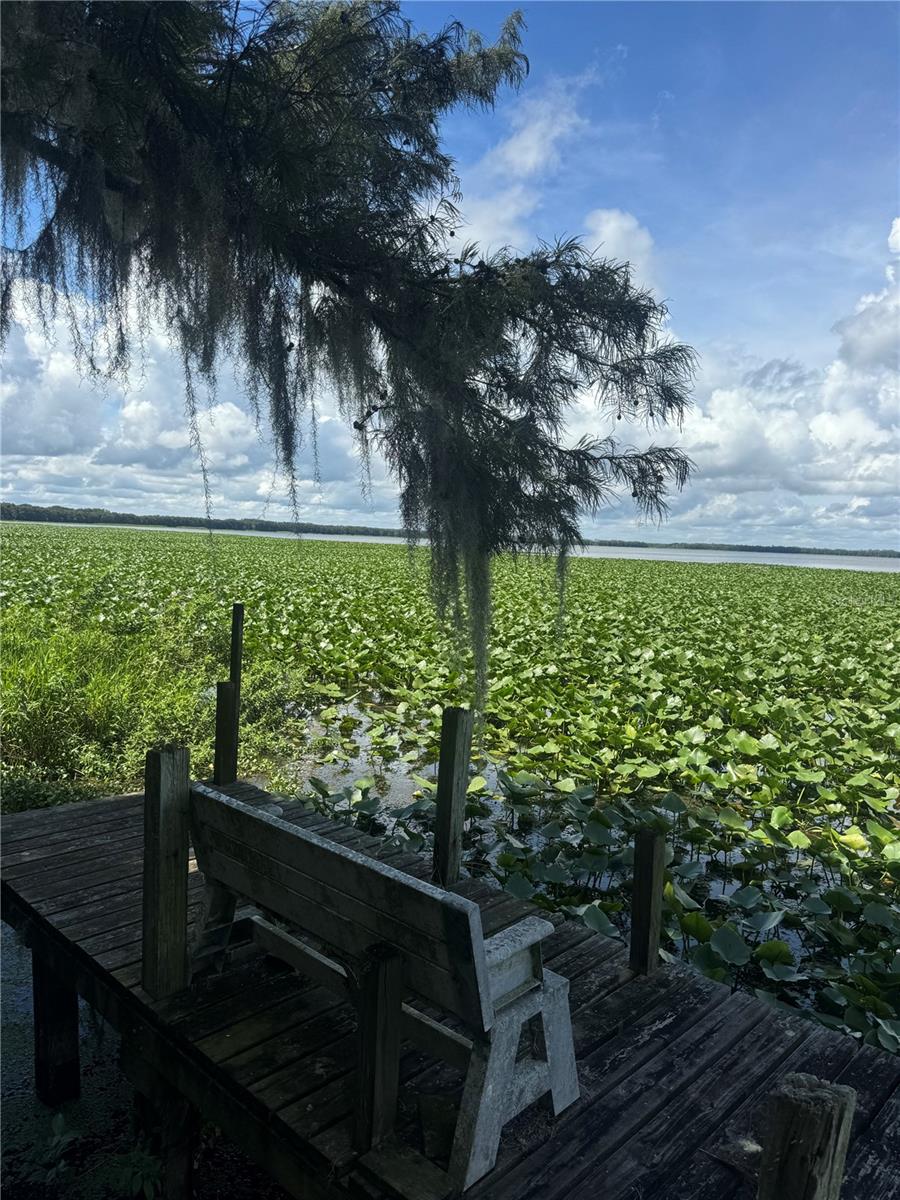 LAKE LOCHLOOSA SHORES - Residential