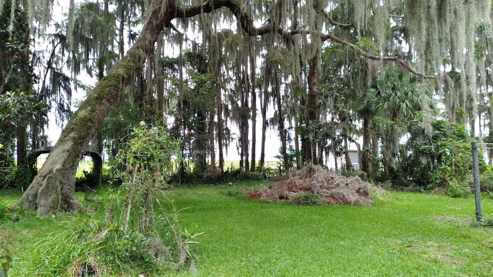 LAKE LOCHLOOSA SHORES - Residential