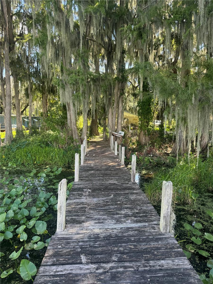 LAKE LOCHLOOSA SHORES - Residential