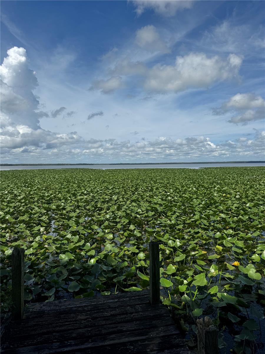 LAKE LOCHLOOSA SHORES - Residential
