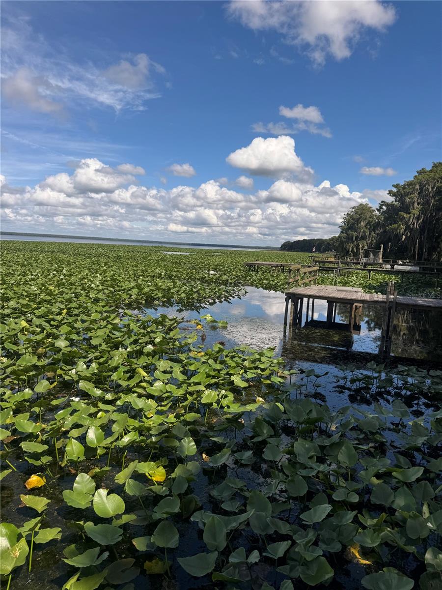 LAKE LOCHLOOSA SHORES - Residential