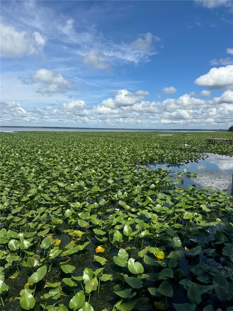 LAKE LOCHLOOSA SHORES - Residential