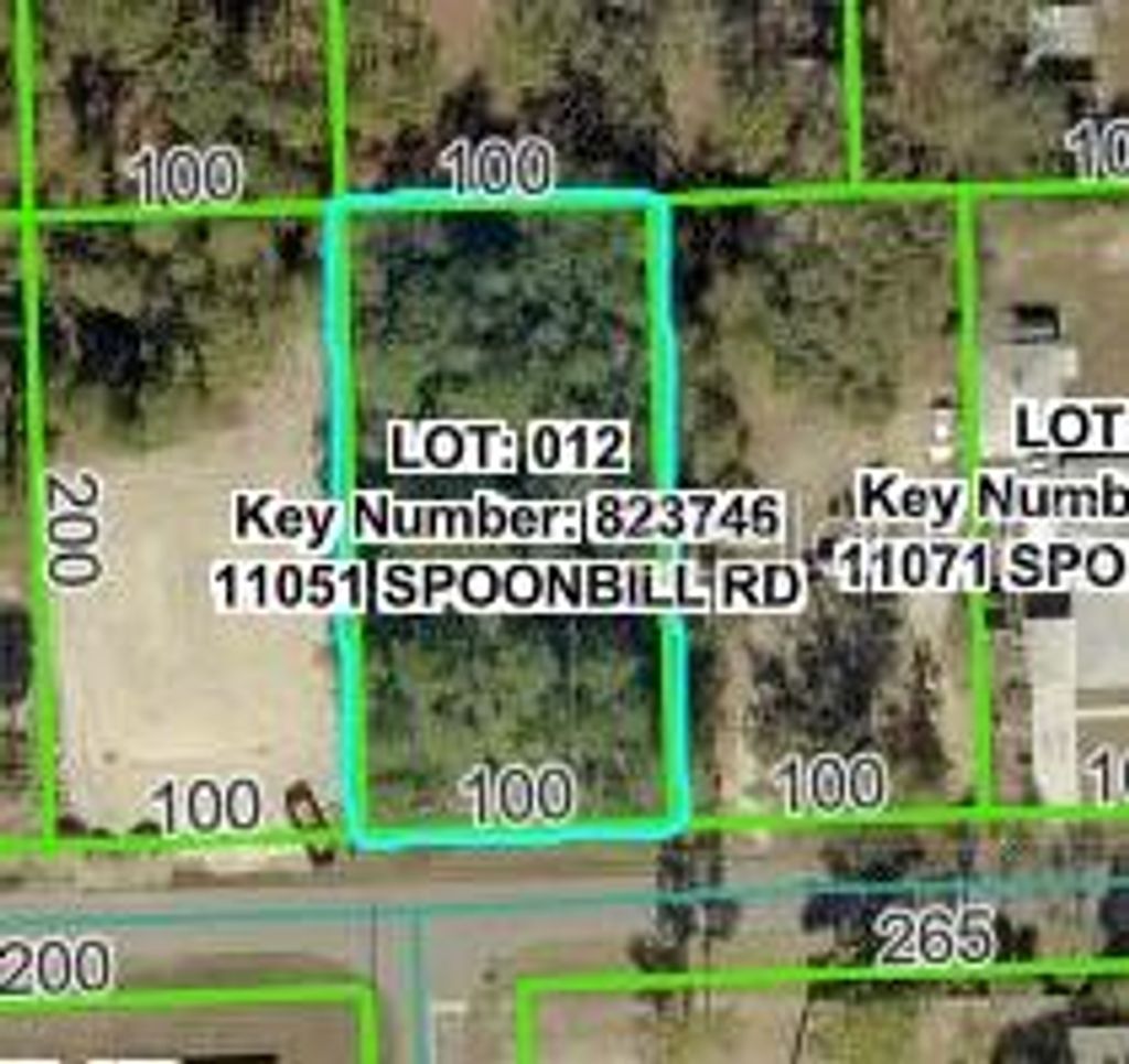 Photo of 11051 Spoonbill Road, Weeki Wachee, FL 34613 (MLS # W7882855)