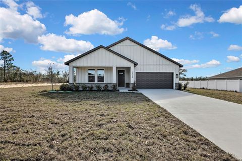 Photo of 13126 Meadow Swallow Avenue, Brooksville, FL 34613 (MLS # O6376335)