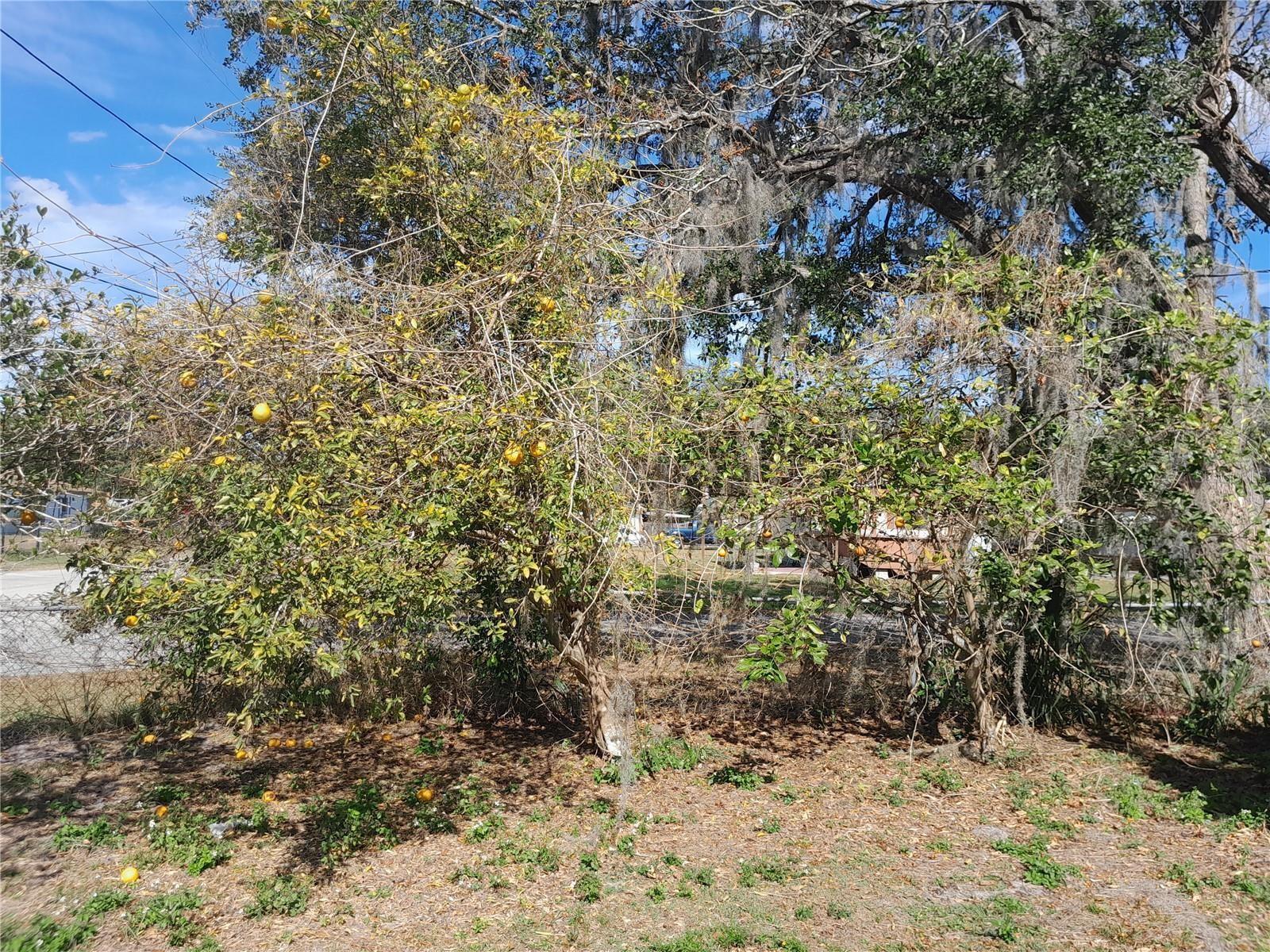 5149 BRYANT AVENUE