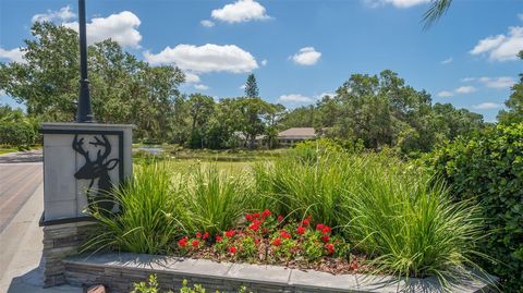 A home in SARASOTA