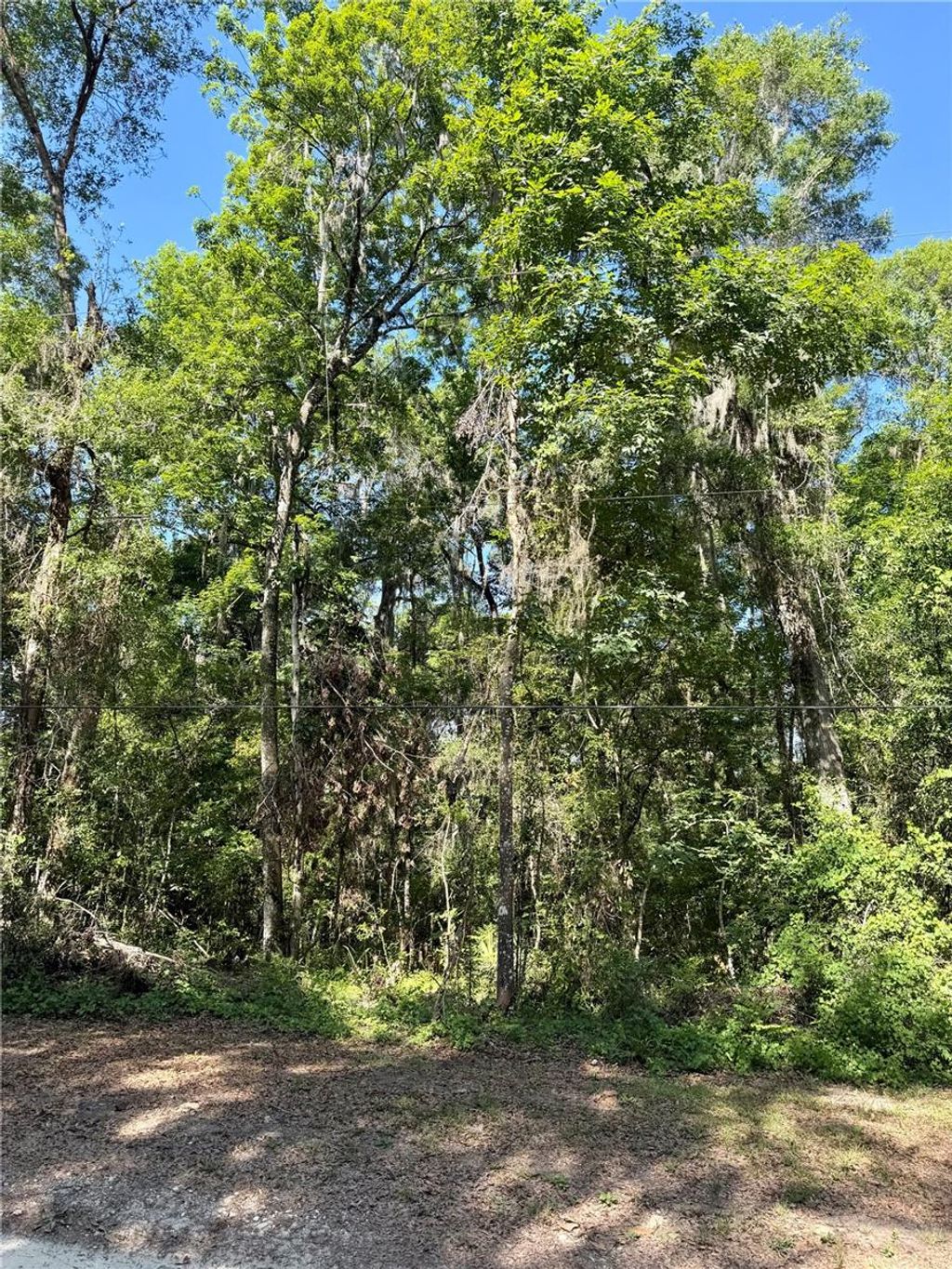Photo of 13650 NE 41 Terrace, Anthony, FL 32617 (MLS # OM724114)