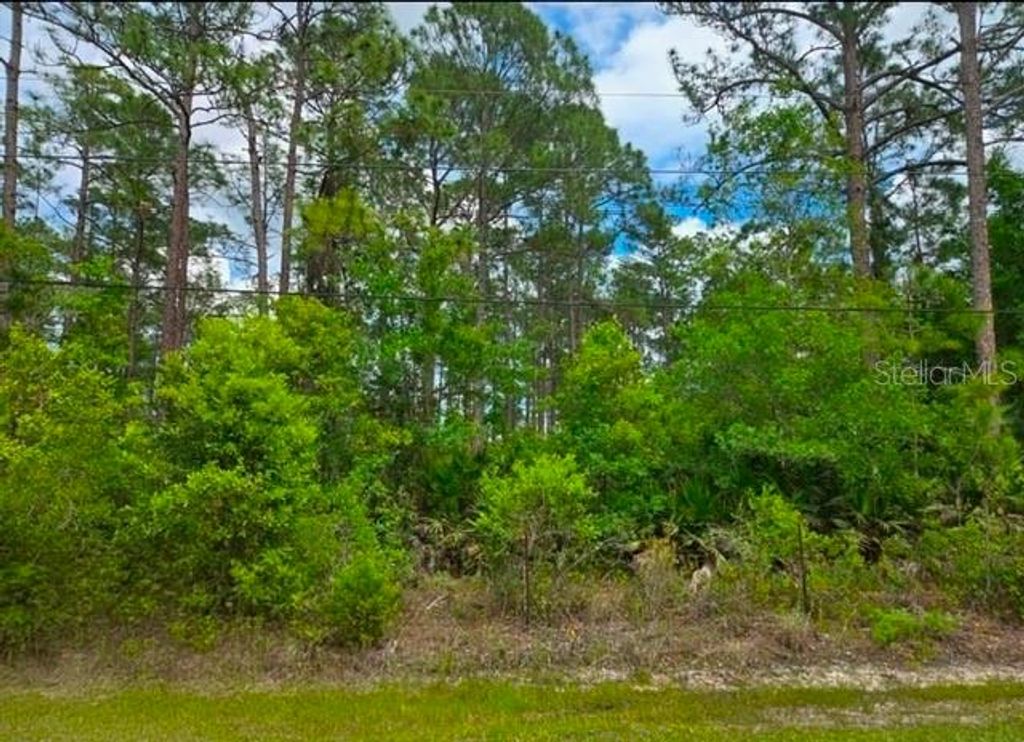 Photo of 1747 Candleberry Street, Bunnell, FL 32110 (MLS # O6402584)