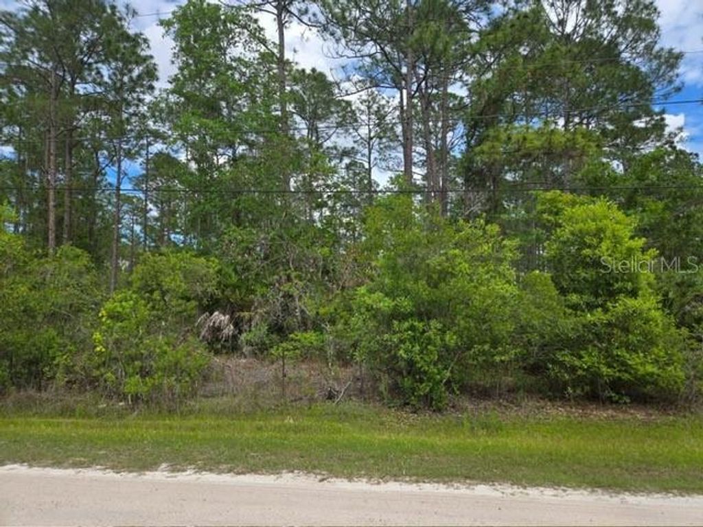 Photo of 1747 Candleberry Street, Bunnell, FL 32110 (MLS # O6402584)