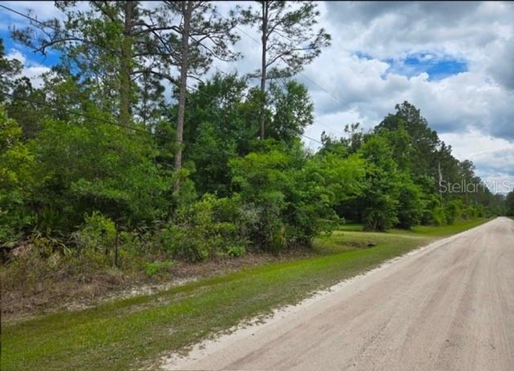 Photo of 1747 Candleberry Street, Bunnell, FL 32110 (MLS # O6402584)