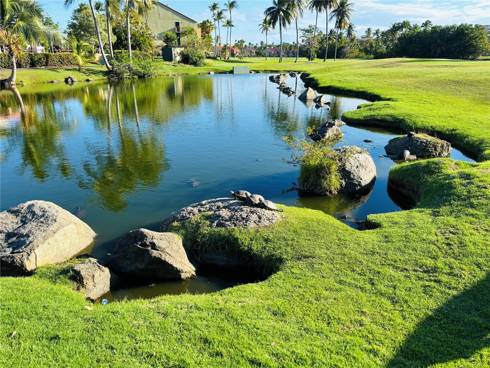 PALMAS DEL MAR - Residential